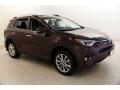 2017 RAV4 Limited AWD #1 2017 RAV4 Limited AWD #1