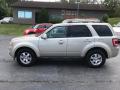 2010 Escape Limited V6 4WD #1 2010 Escape Limited V6 4WD #1