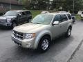 2010 Escape Limited V6 4WD #2 2010 Escape Limited V6 4WD #2