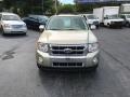 2010 Escape Limited V6 4WD #3 2010 Escape Limited V6 4WD #3
