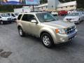2010 Escape Limited V6 4WD #4 2010 Escape Limited V6 4WD #4