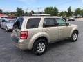 2010 Escape Limited V6 4WD #6 2010 Escape Limited V6 4WD #6