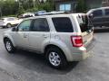 2010 Escape Limited V6 4WD #9 2010 Escape Limited V6 4WD #9