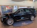 2020 Palisade Limited AWD #2
