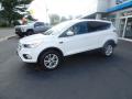 2017 Escape SE 4WD #1