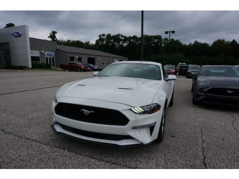 Oxford White Ford Mustang EcoBoost Fastback.  Click to enlarge.