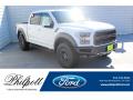 2019 F150 SVT Raptor SuperCrew 4x4 #1