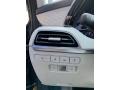 Controls of 2020 Hyundai Palisade SEL AWD #13