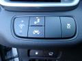 Controls of 2019 Kia Sorento EX V6 AWD #16