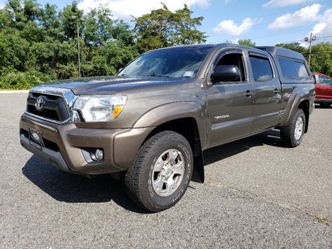 Pyrite Mica Toyota Tacoma V6 SR5 Double Cab 4x4.  Click to enlarge.