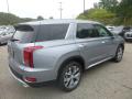 2020 Palisade SEL AWD #2 2020 Palisade SEL AWD #2