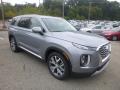 2020 Palisade SEL AWD #3 2020 Palisade SEL AWD #3