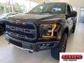 2019 F150 SVT Raptor SuperCrew 4x4 #1