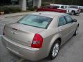 2009 300 Touring #8