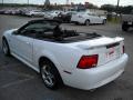 2004 Mustang V6 Convertible #6