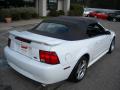 2004 Mustang V6 Convertible #8