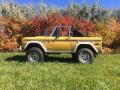 1970 Ford Bronco Yellow #4