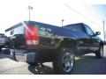 2009 Sierra 1500 Work Truck Regular Cab 4x4 #6