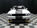 2019 Challenger R/T Scat Pack Stars and Stripes Edition #3