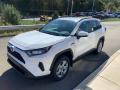 2019 RAV4 LE AWD #7