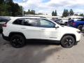 2019 Cherokee Latitude Plus 4x4 #6 2019 Cherokee Latitude Plus 4x4 #6