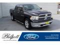 2010 Ram 1500 SLT Crew Cab #1 2010 Ram 1500 SLT Crew Cab #1