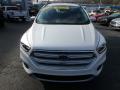 2019 Escape SEL 4WD #8