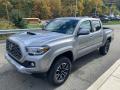 2020 Toyota Tacoma Silver Sky Metallic #6 2020 Toyota Tacoma Silver Sky Metallic #6