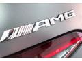 2020 AMG GT 53 #27