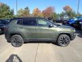  2020 Jeep Compass Olive Green Pearl #6