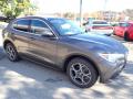 2019 Stelvio Ti AWD #10