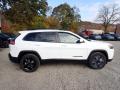 2020 Cherokee Altitude 4x4 #6