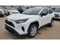 2019 RAV4 LE AWD #1