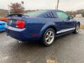 2006 Mustang V6 Premium Coupe #3 2006 Mustang V6 Premium Coupe #3
