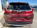 2019 CR-V EX-L AWD #6 2019 CR-V EX-L AWD #6