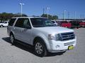 2009 Expedition XLT #4