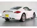 2010 Cayman #13 2010 Cayman #13