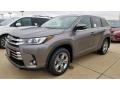 2019 Highlander Limited Platinum AWD #1