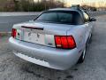 2004 Mustang Convertible #6
