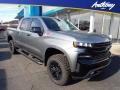 2020 Silverado 1500 LT Trail Boss Crew Cab 4x4 #1 2020 Silverado 1500 LT Trail Boss Crew Cab 4x4 #1