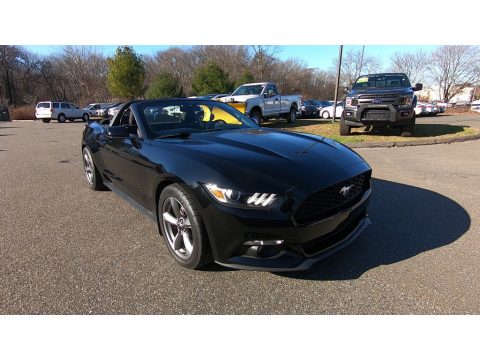 Black Ford Mustang V6 Convertible.  Click to enlarge.