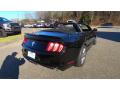 2015 Mustang V6 Convertible #7