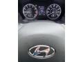  2020 Hyundai Santa Fe SE AWD Gauges #31