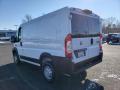 2019 ProMaster 1500 Low Roof Cargo Van #4