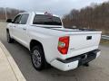 2020 Tundra Platinum CrewMax 4x4 #2