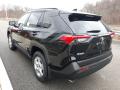2019 RAV4 XLE AWD #2