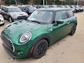  2020 Mini Hardtop British Racing Green IV Metallic #4