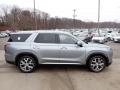 2020 Hyundai Palisade Lagoon Silver #1 2020 Hyundai Palisade Lagoon Silver #1