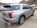 2020 Palisade SEL AWD #2 2020 Palisade SEL AWD #2