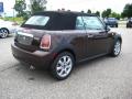 2009 Cooper Convertible #5